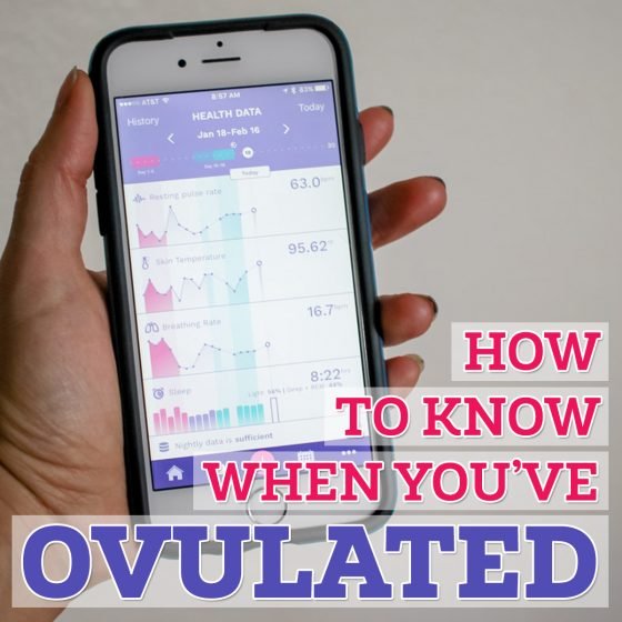 how to know when you've ovulated
