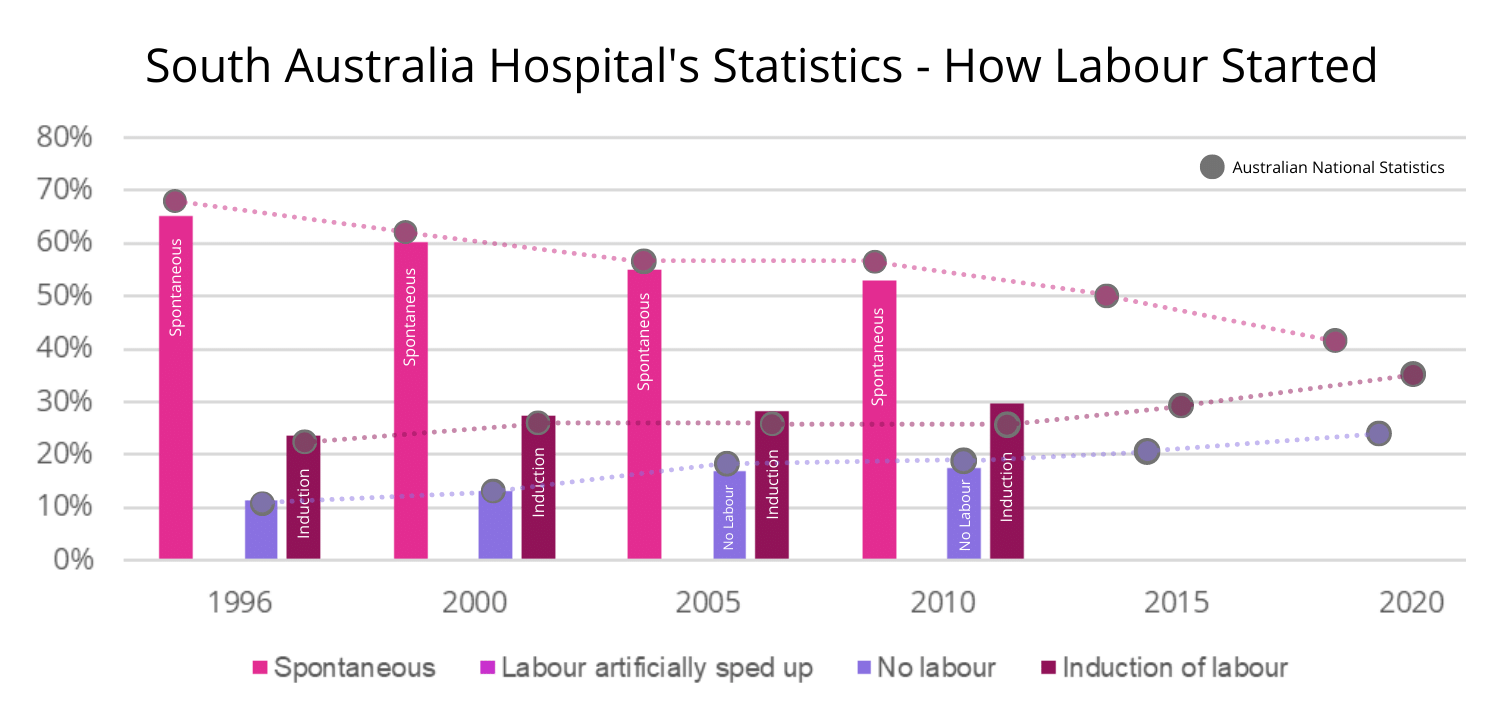 South Australia Hospital Statistics