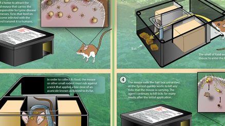 Inside the Tick Control Bait Box