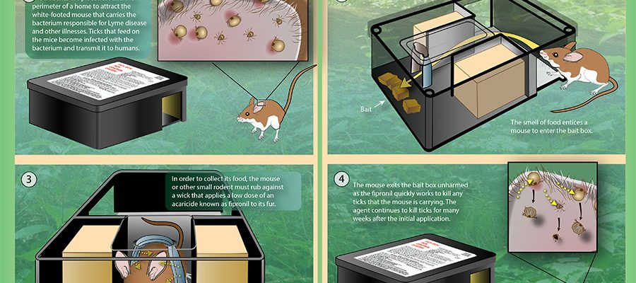 Inside the Tick Control Bait Box