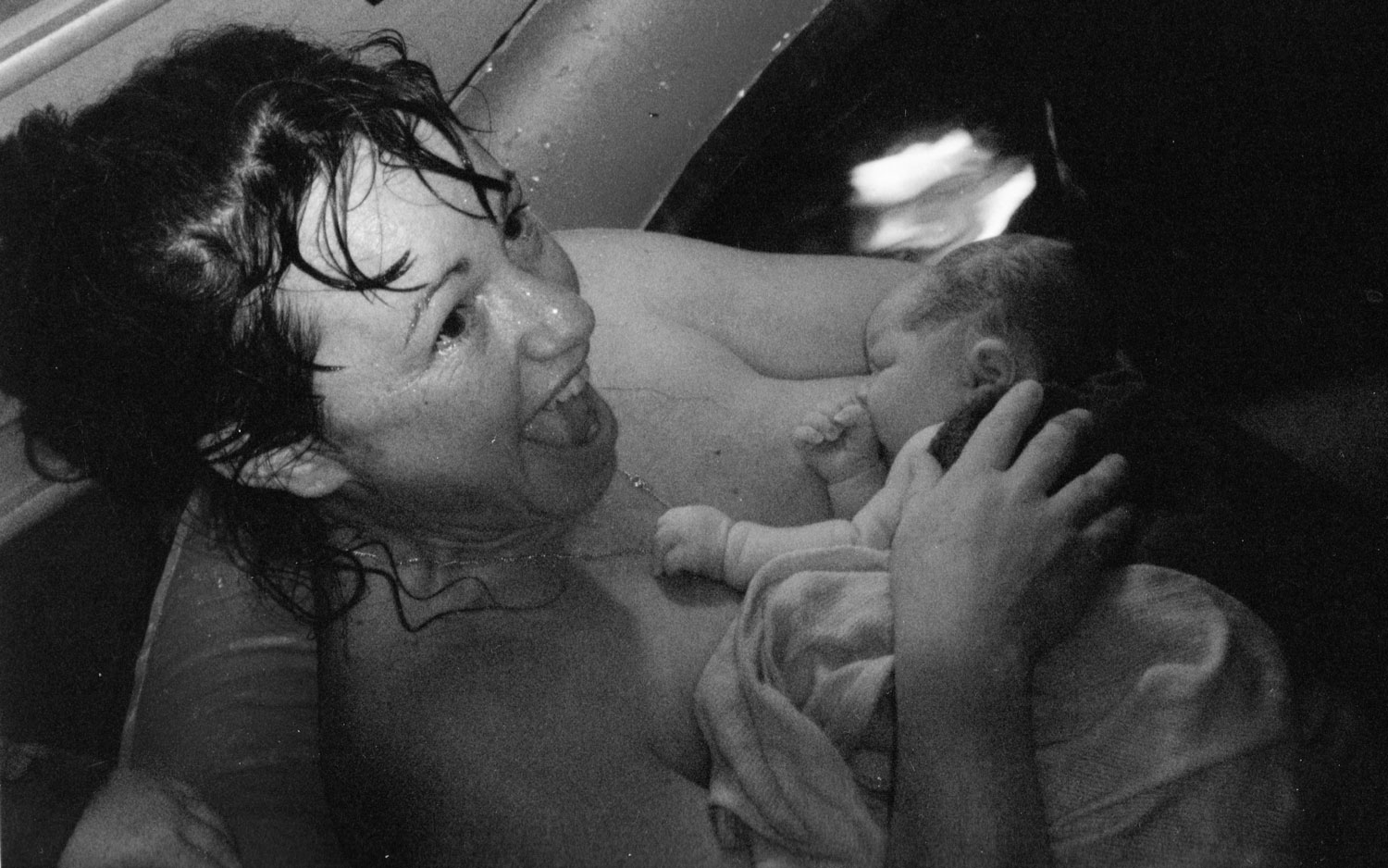 Made with Love - The Pregnancy Journey