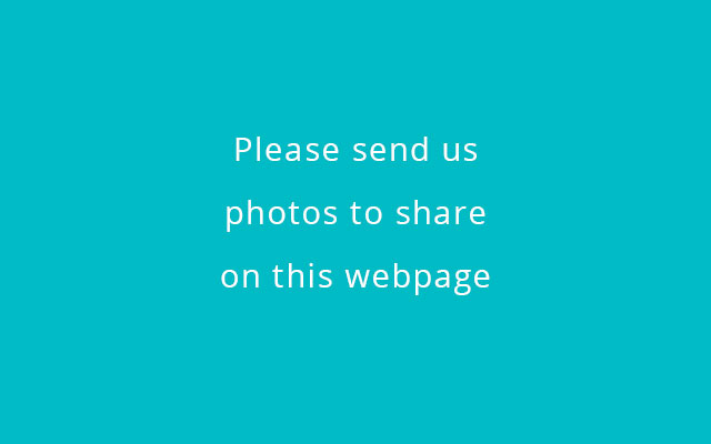 please-send-us-photos Please send us photos to share