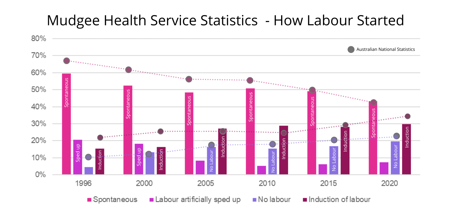 Mudgee Health Service