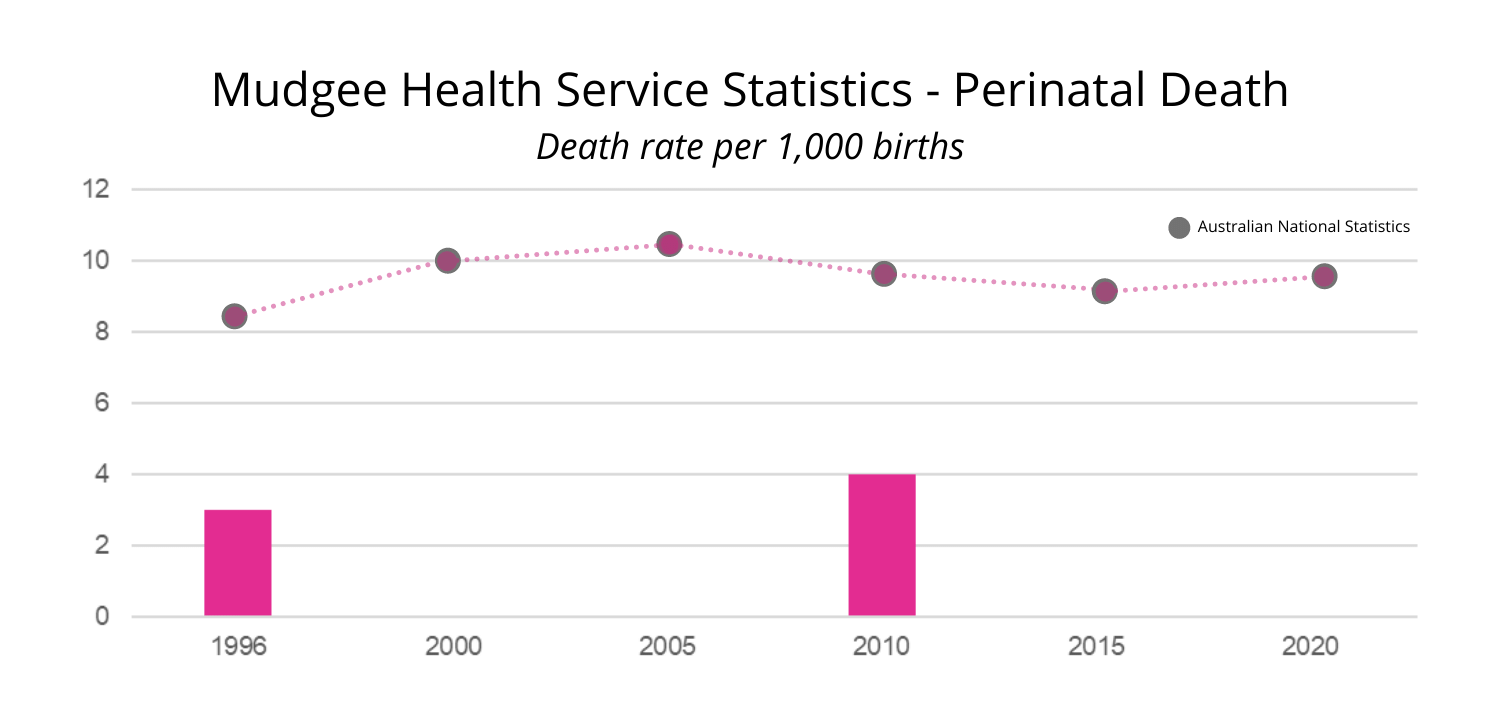 Mudgee Health Service